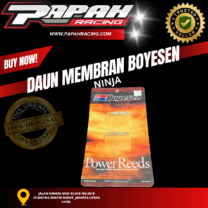 DAUN MEMBRAN BOYESEN NINJA RR R SS