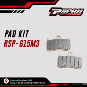 KAMPAS-REM-NISSIN-NSF250R